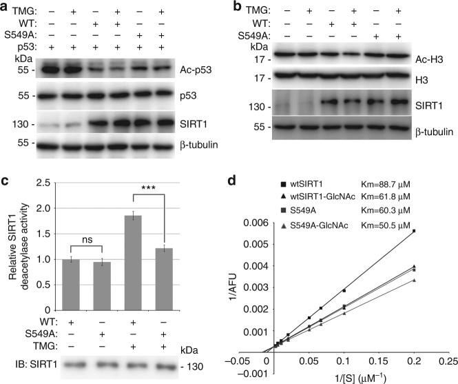 https://cdn.ncbi.nlm.nih.gov/pmc/blobs/7b11/5684413/0b6410cd390a/41467_2017_1654_Fig4_HTML.jpg