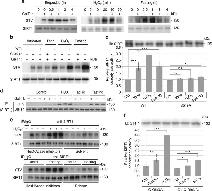 https://cdn.ncbi.nlm.nih.gov/pmc/blobs/7b11/5684413/e824a0b463c4/41467_2017_1654_Fig5_HTML.jpg