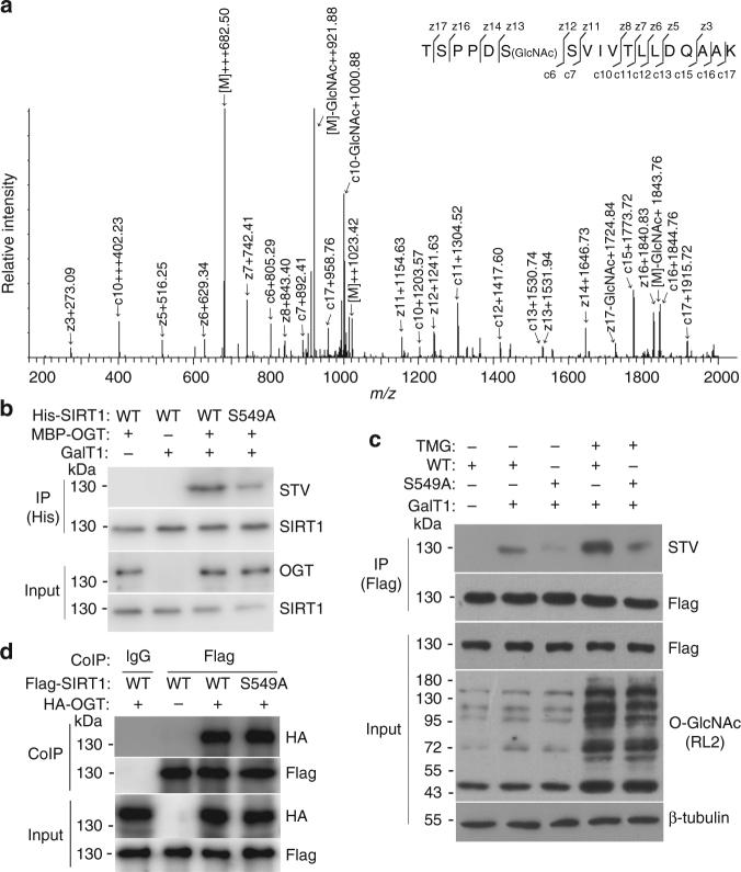 https://cdn.ncbi.nlm.nih.gov/pmc/blobs/7b11/5684413/f4c7fe4110c4/41467_2017_1654_Fig3_HTML.jpg