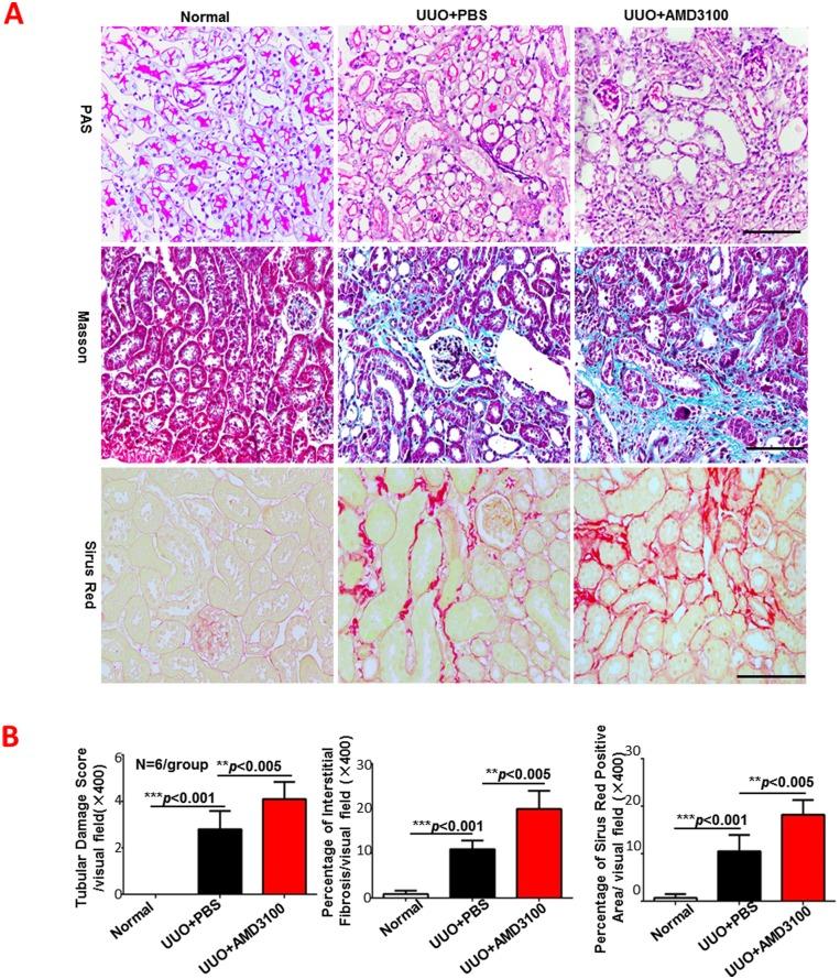 https://cdn.ncbi.nlm.nih.gov/pmc/blobs/7b12/4763993/a69ad00f9ab0/pone.0149926.g001.jpg