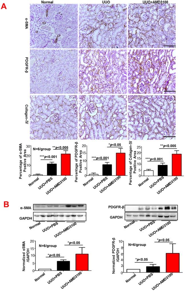 https://cdn.ncbi.nlm.nih.gov/pmc/blobs/7b12/4763993/e362c5e76888/pone.0149926.g002.jpg