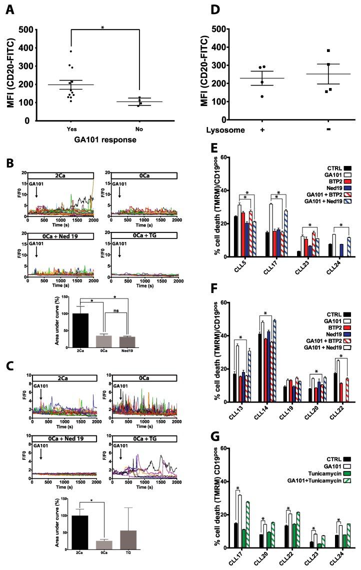 https://cdn.ncbi.nlm.nih.gov/pmc/blobs/7b12/6468563/66a472c95478/cancers-11-00291-g005.jpg