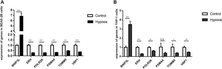 https://cdn.ncbi.nlm.nih.gov/pmc/blobs/7b13/10080023/290b7379cfe2/fgene-14-1055372-g009.jpg
