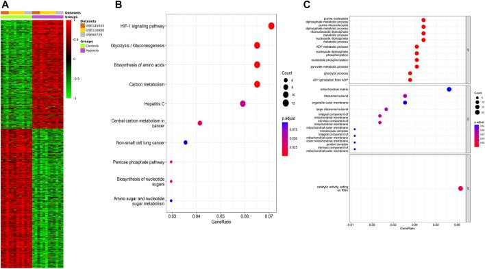 https://cdn.ncbi.nlm.nih.gov/pmc/blobs/7b13/10080023/3c960366a9ed/fgene-14-1055372-g004.jpg