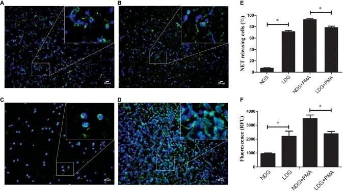 https://cdn.ncbi.nlm.nih.gov/pmc/blobs/7b14/6637951/a8f5c9e46245/fmicb-10-01468-g001.jpg