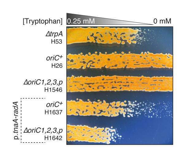 https://cdn.ncbi.nlm.nih.gov/pmc/blobs/7b15/3843117/d379479ec54c/emss-54795-f0004.jpg