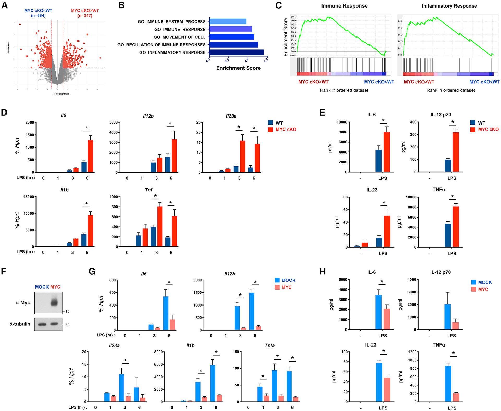 https://cdn.ncbi.nlm.nih.gov/pmc/blobs/7b16/8257047/4c4e11f43701/nihms-1715705-f0004.jpg