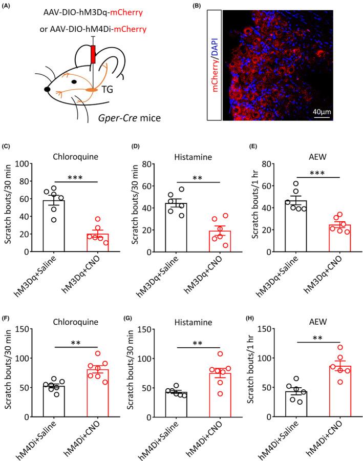 https://cdn.ncbi.nlm.nih.gov/pmc/blobs/7b1d/10848076/ba17276c6e60/CNS-30-e14367-g004.jpg