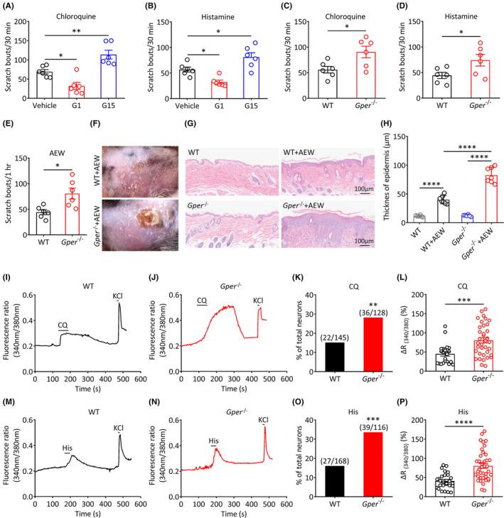 https://cdn.ncbi.nlm.nih.gov/pmc/blobs/7b1d/10848076/dcba338073cd/CNS-30-e14367-g001.jpg