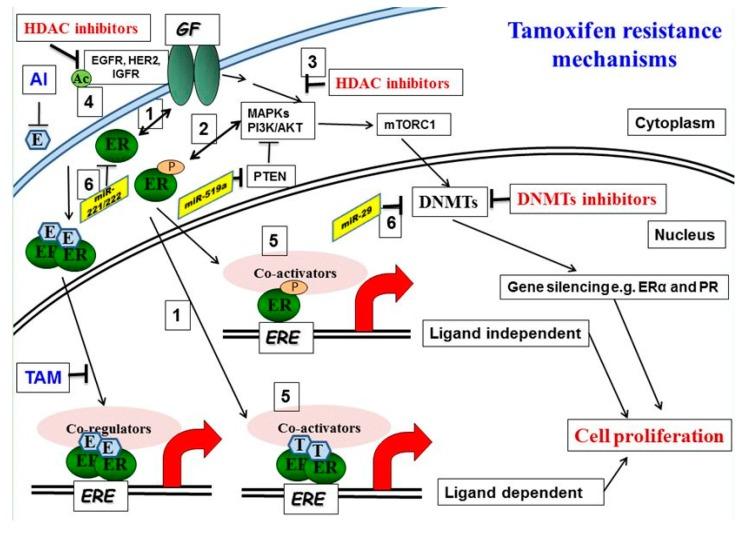 https://cdn.ncbi.nlm.nih.gov/pmc/blobs/7b1d/5622332/4c2860db4e4d/diseases-05-00016-g001.jpg