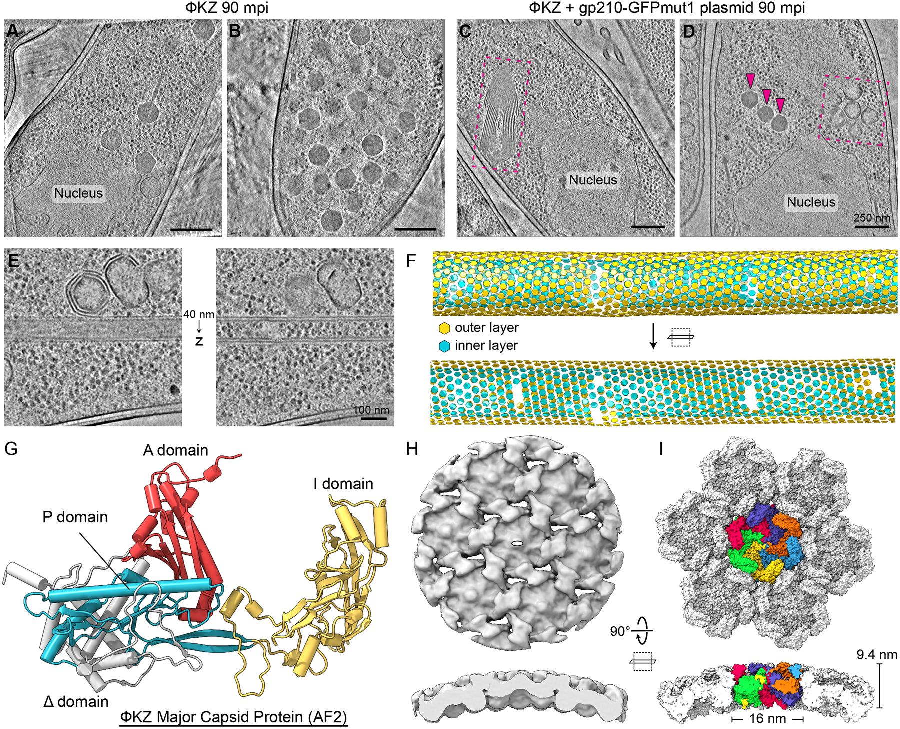 https://cdn.ncbi.nlm.nih.gov/pmc/blobs/7b1f/11620839/8f28e7b9cb31/nihms-2034457-f0003.jpg