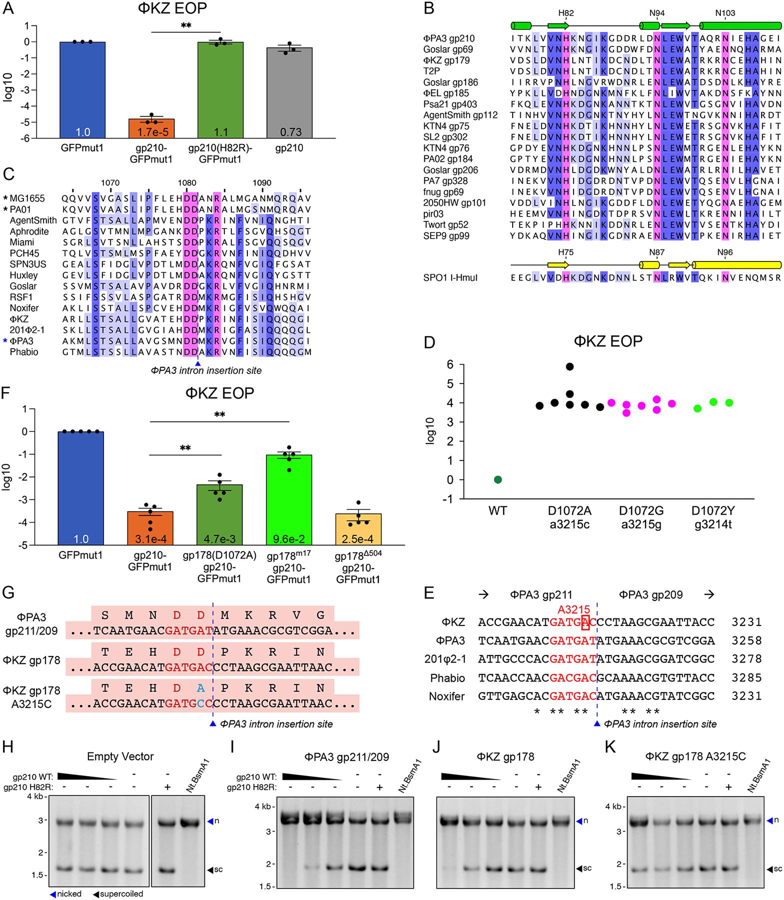 https://cdn.ncbi.nlm.nih.gov/pmc/blobs/7b1f/11620839/e472a267ea02/nihms-2034457-f0001.jpg