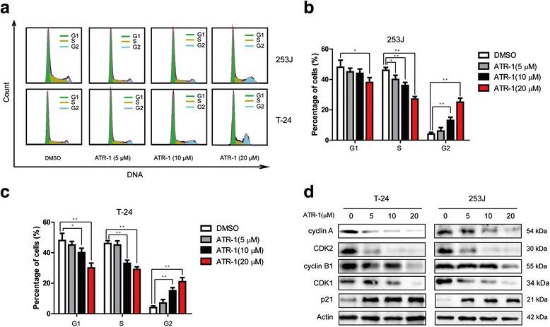 https://cdn.ncbi.nlm.nih.gov/pmc/blobs/7b1f/4774103/8ba213cbbb9d/13046_2016_312_Fig2_HTML.jpg