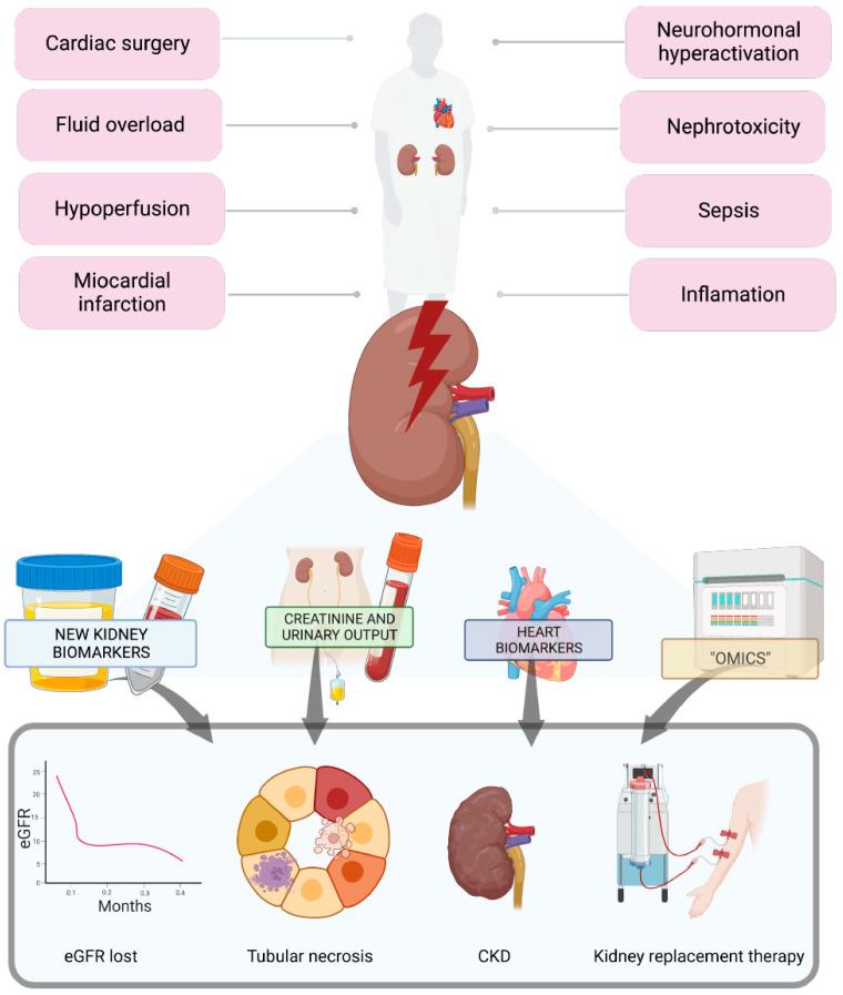 https://cdn.ncbi.nlm.nih.gov/pmc/blobs/7b20/10252540/d9e80f536640/diagnostics-13-01922-g001.jpg