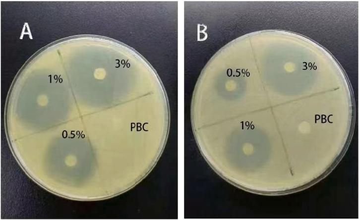 https://cdn.ncbi.nlm.nih.gov/pmc/blobs/7b20/11168318/e3911d119c83/gr9.jpg