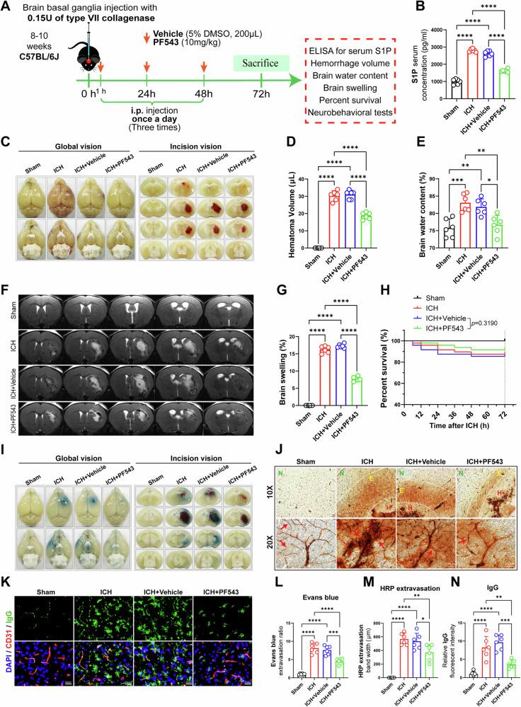 https://cdn.ncbi.nlm.nih.gov/pmc/blobs/7b21/11666774/168d7642b1e7/41419_2024_7310_Fig2_HTML.jpg