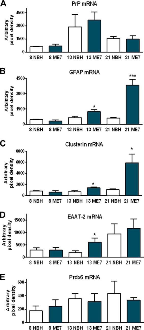 https://cdn.ncbi.nlm.nih.gov/pmc/blobs/7b21/3924314/2ac2ad04423a/zbc0111475460007.jpg
