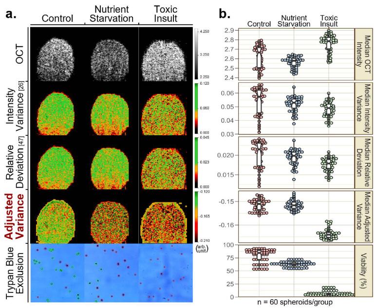 https://cdn.ncbi.nlm.nih.gov/pmc/blobs/7b22/11563335/15c65a6c33c0/boe-15-11-6370-g003.jpg