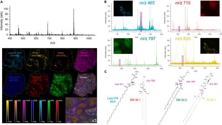 https://cdn.ncbi.nlm.nih.gov/pmc/blobs/7b23/10371825/92b8b855b2d5/gr4.jpg