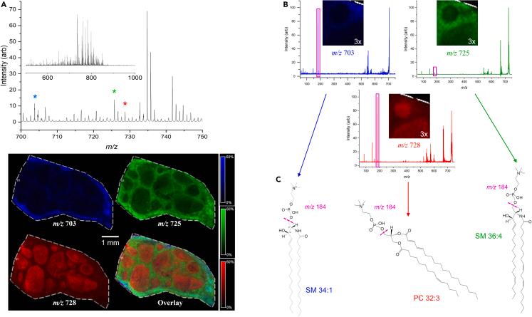 https://cdn.ncbi.nlm.nih.gov/pmc/blobs/7b23/10371825/d1978d2f0e61/gr3.jpg