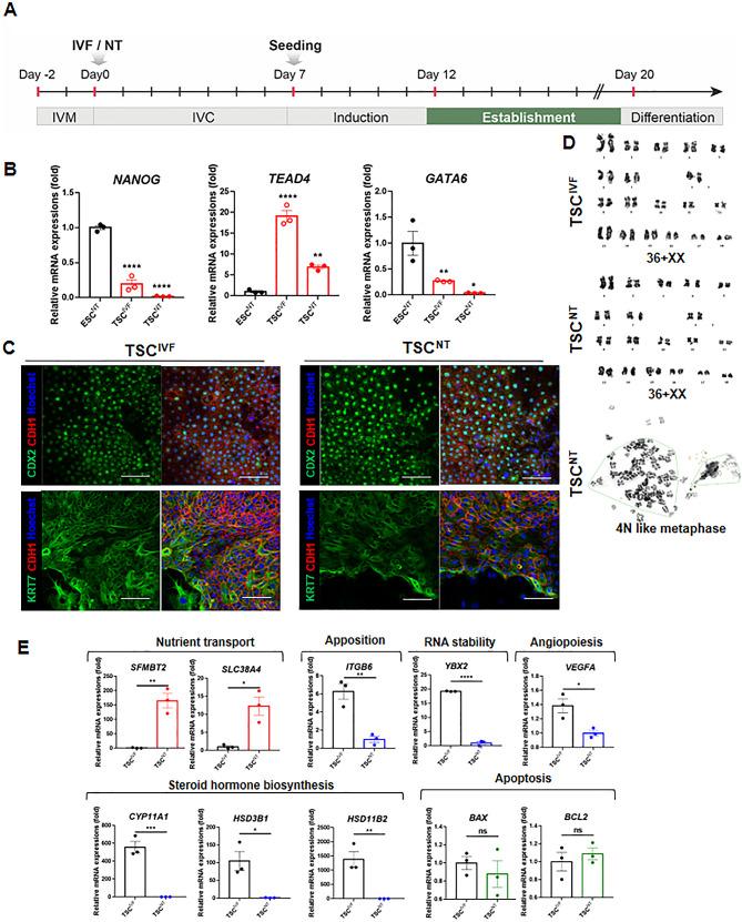 https://cdn.ncbi.nlm.nih.gov/pmc/blobs/7b23/11137969/4dc702a32ee0/40659_2024_516_Fig2_HTML.jpg