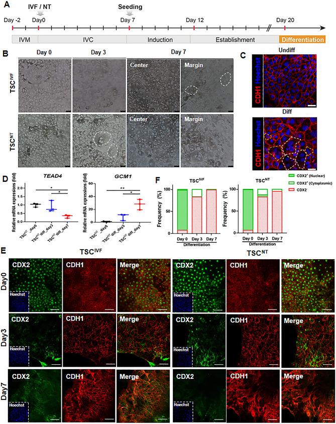 https://cdn.ncbi.nlm.nih.gov/pmc/blobs/7b23/11137969/8233a2ccc5b0/40659_2024_516_Fig3_HTML.jpg