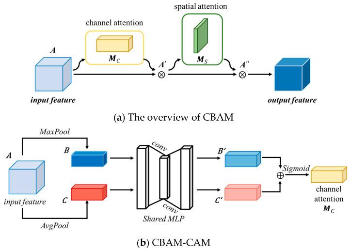 https://cdn.ncbi.nlm.nih.gov/pmc/blobs/7b23/11273630/fbbcd6ad8ef0/bioengineering-11-00737-g004a.jpg