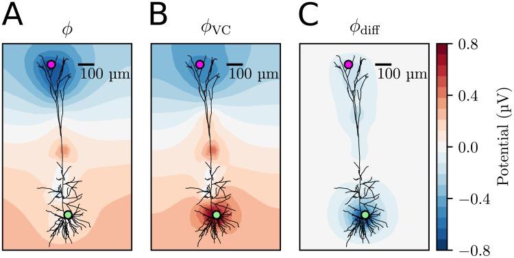 https://cdn.ncbi.nlm.nih.gov/pmc/blobs/7b25/6191143/a36307e6e1b8/pcbi.1006510.g006.jpg