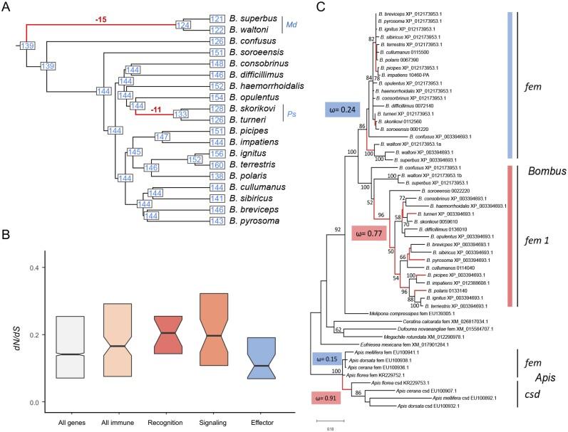 https://cdn.ncbi.nlm.nih.gov/pmc/blobs/7b25/7826183/937fd1d7e96e/msaa240f4.jpg