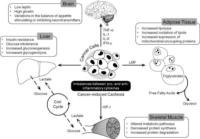 https://cdn.ncbi.nlm.nih.gov/pmc/blobs/7b27/5410360/805e0691cd45/oncotarget-08-24009-g001.jpg
