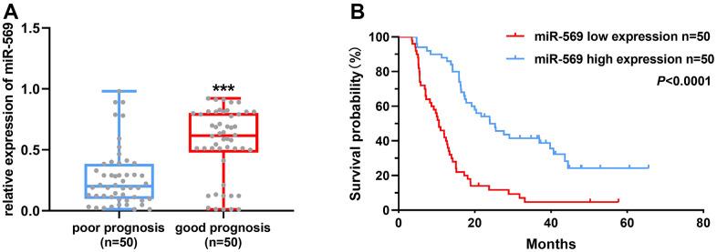 https://cdn.ncbi.nlm.nih.gov/pmc/blobs/7b27/9085231/c3e79325e438/aging-14-204035-g001.jpg
