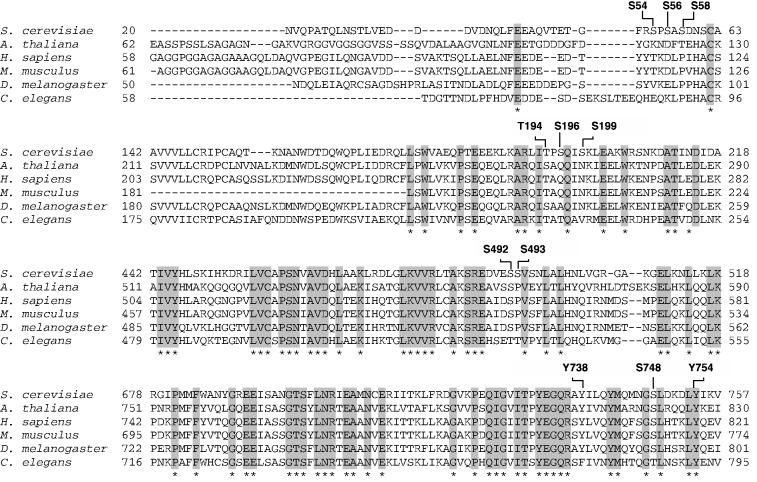 https://cdn.ncbi.nlm.nih.gov/pmc/blobs/7b28/3919615/efbf7fad1772/gkt1049f3p.jpg