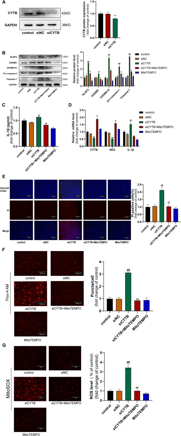 https://cdn.ncbi.nlm.nih.gov/pmc/blobs/7b2a/12229163/48157c1be6e7/JIR-18-8719-g0004.jpg