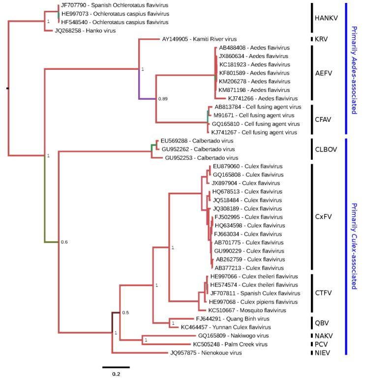 https://cdn.ncbi.nlm.nih.gov/pmc/blobs/7b2b/4411683/c9cba40ca859/viruses-07-01927-g002.jpg