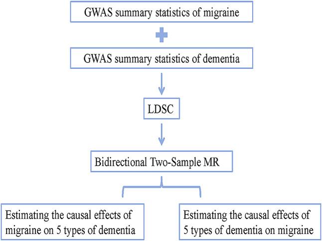 https://cdn.ncbi.nlm.nih.gov/pmc/blobs/7b2d/11229492/e9a467d66134/12920_2024_1956_Fig1_HTML.jpg
