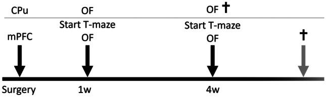 https://cdn.ncbi.nlm.nih.gov/pmc/blobs/7b2e/10746586/e41e5fa229fa/12640_2023_684_Fig1_HTML.jpg