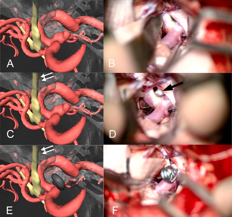 https://cdn.ncbi.nlm.nih.gov/pmc/blobs/7b2e/9918798/631ab4c794f8/gr2.jpg