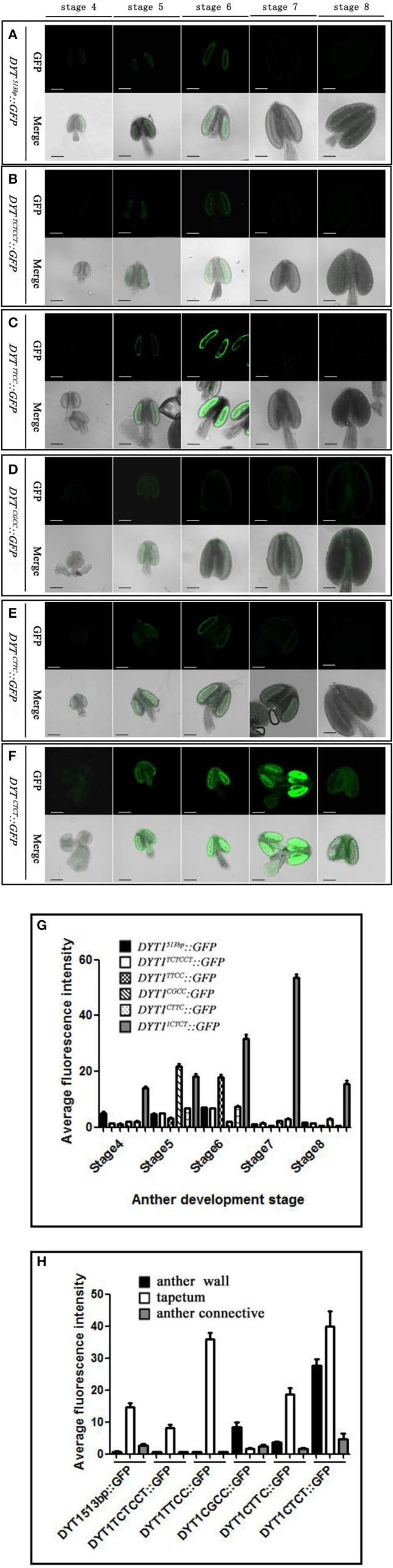 https://cdn.ncbi.nlm.nih.gov/pmc/blobs/7b2f/5313476/41ca348771d1/fpls-08-00153-g0002.jpg