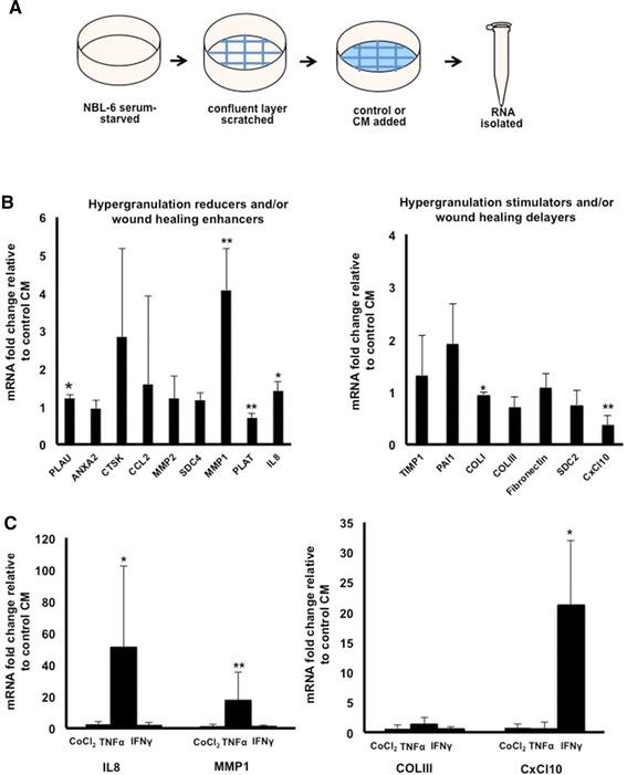 https://cdn.ncbi.nlm.nih.gov/pmc/blobs/7b30/4413990/0000b99b9ead/13287_2015_37_Fig3_HTML.jpg