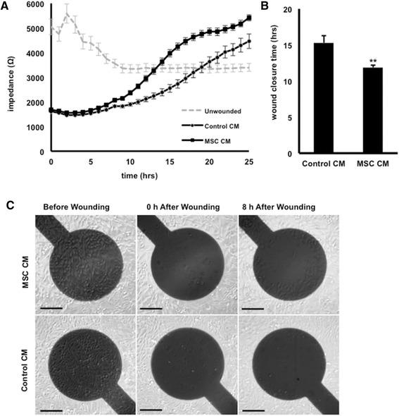 https://cdn.ncbi.nlm.nih.gov/pmc/blobs/7b30/4413990/6e4c7078cafb/13287_2015_37_Fig2_HTML.jpg