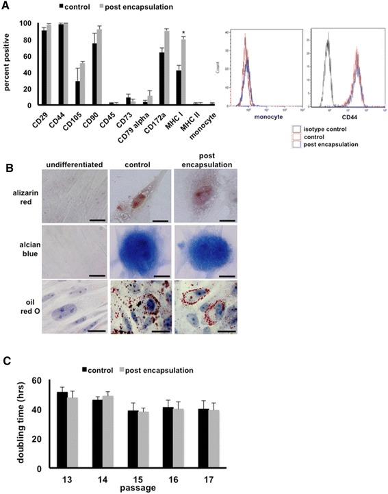 https://cdn.ncbi.nlm.nih.gov/pmc/blobs/7b30/4413990/a8e6717a9051/13287_2015_37_Fig4_HTML.jpg