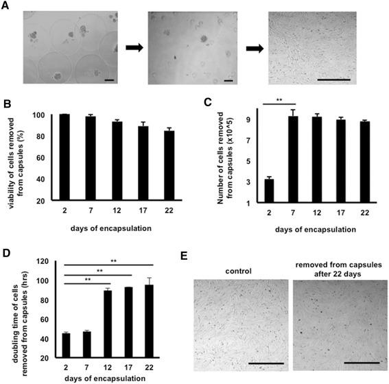 https://cdn.ncbi.nlm.nih.gov/pmc/blobs/7b30/4413990/bf8edb185429/13287_2015_37_Fig5_HTML.jpg
