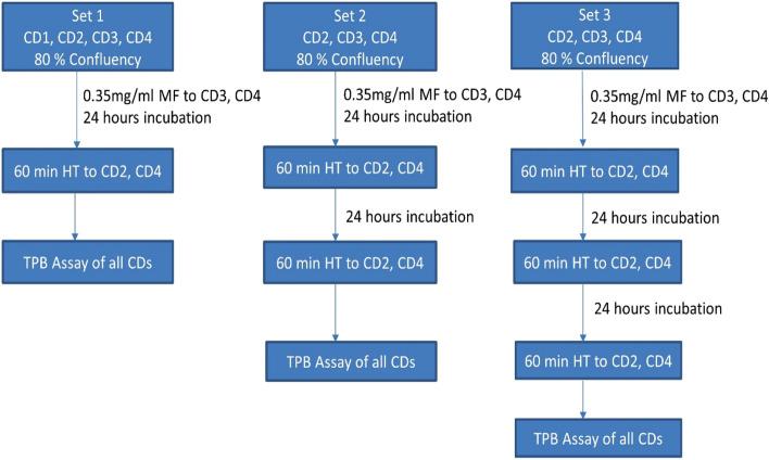 https://cdn.ncbi.nlm.nih.gov/pmc/blobs/7b30/7499255/3a8754d36348/41598_2020_71552_Fig1_HTML.jpg