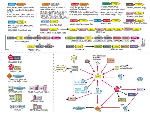 https://cdn.ncbi.nlm.nih.gov/pmc/blobs/7b32/329420/9e588fb88553/gb-2003-4-12-r81-3.jpg