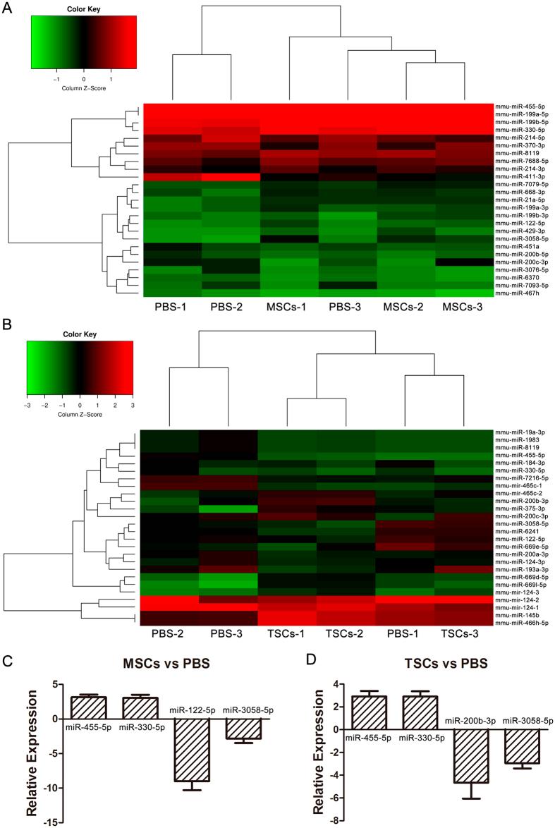 https://cdn.ncbi.nlm.nih.gov/pmc/blobs/7b32/5353648/d1ab26b46a61/srep44376-f6.jpg