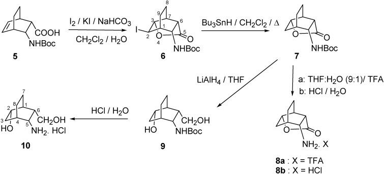 https://cdn.ncbi.nlm.nih.gov/pmc/blobs/7b32/6264698/c532702a296b/molecules-16-07691-g002.jpg