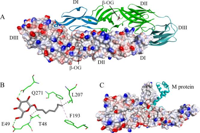 https://cdn.ncbi.nlm.nih.gov/pmc/blobs/7b33/10945500/58a19a08f027/jm3c01543_0021.jpg