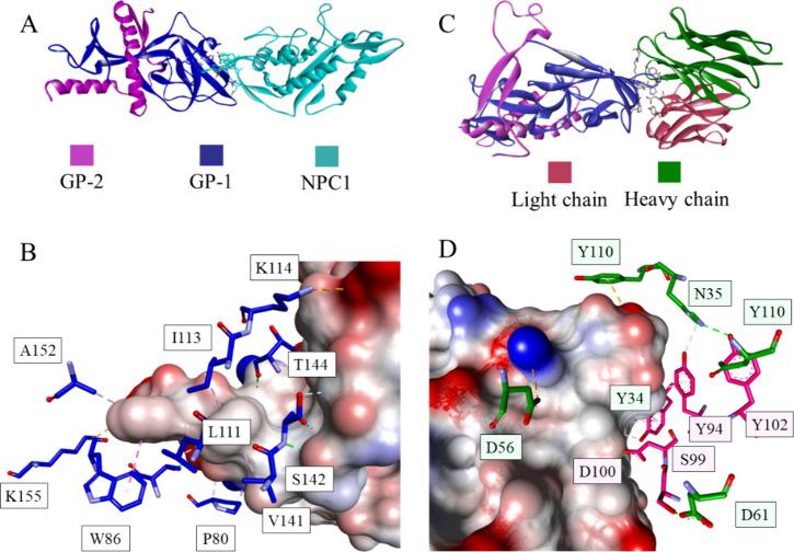 https://cdn.ncbi.nlm.nih.gov/pmc/blobs/7b33/10945500/d485d1c0b905/jm3c01543_0019.jpg
