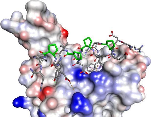 https://cdn.ncbi.nlm.nih.gov/pmc/blobs/7b33/10945500/e5f4ecc7ed43/jm3c01543_0014.jpg