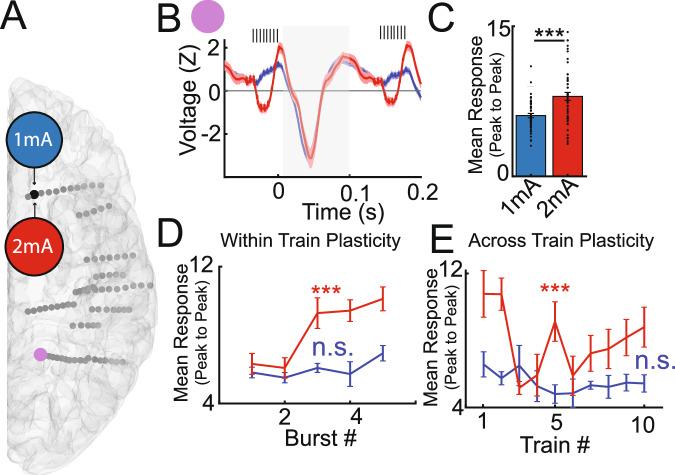 https://cdn.ncbi.nlm.nih.gov/pmc/blobs/7b34/11324911/53636b575592/41467_2024_51443_Fig4_HTML.jpg